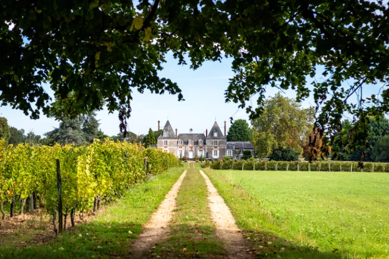 CHATEAUDEBOISBRINCON-LECHICBOUTEILLES-26SEPTEMBRE2023-HD-25_resultat