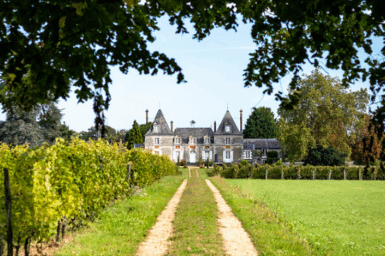 BOIS BRINçon site demeures gites anjou (2)